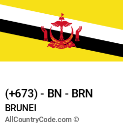 Brunei Country and phone Codes : +673, BN, BRN Brunei Country and phone Codes : +673, BN, BRN